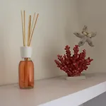 One Bedroom With Wifi Apartment *